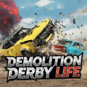 Demolition Derby Life