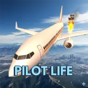 Pilot life - flight game 3d